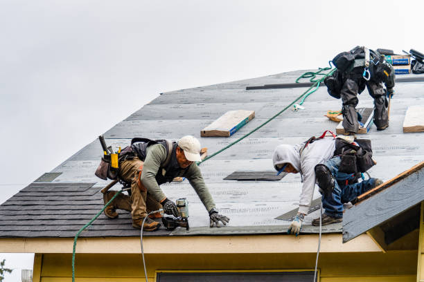 Professional Storm Damage Roof Repair technician working in Newton, NH